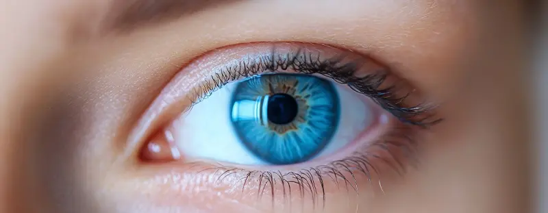 Blaues Auge in Nahaufnahme – Sinnbild für präzise Sehkorrektur mit implantierbarer Collamer-Linse bei MUNICH EYE.